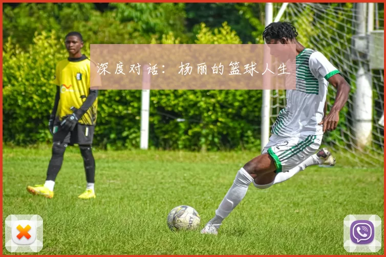 深度对话：杨丽的篮球人生