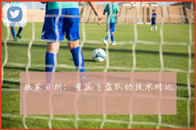 独家分析：重庆飞盘队的技术对比