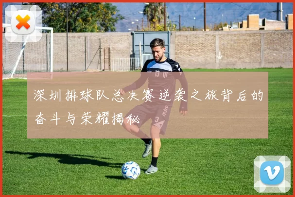 深圳排球队总决赛逆袭之旅背后的奋斗与荣耀揭秘