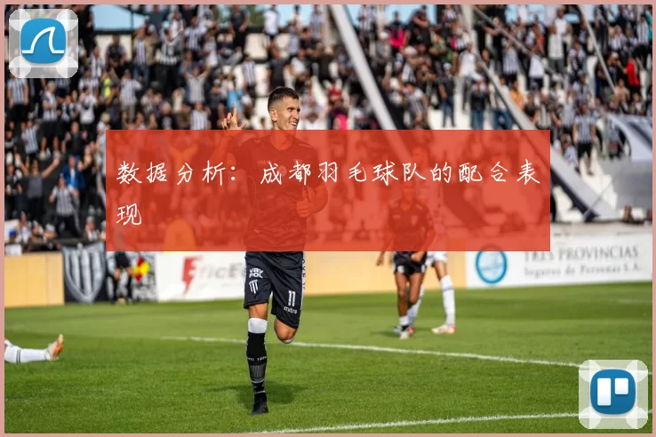 数据分析：成都羽毛球队的配合表现